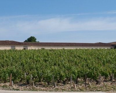 Retour dans le Médoc