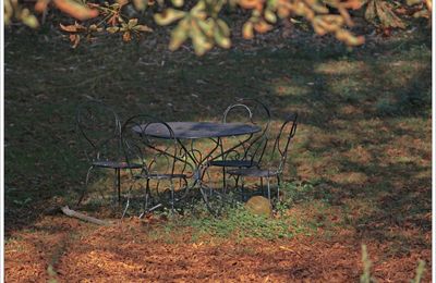 Le jardin d'Agatha (2)