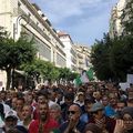 فيديو : ناشط جزائري يرد على سفهاء الحراك العدميين
