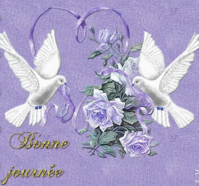 Une Tourterelle roucoule..1