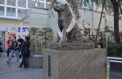 Hachiko, chien célèbre.