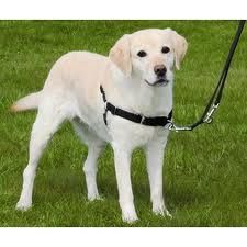 concours chez cécile d'Aromat'easy 9è round!!