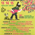 SVINKELS, PUSSY RIOT, CATHERINE RINGER, CLARA LUCIANI, MOHA LA SQUALE, .. à l'affiche du festival Chauffer dans la Noirceur 2018