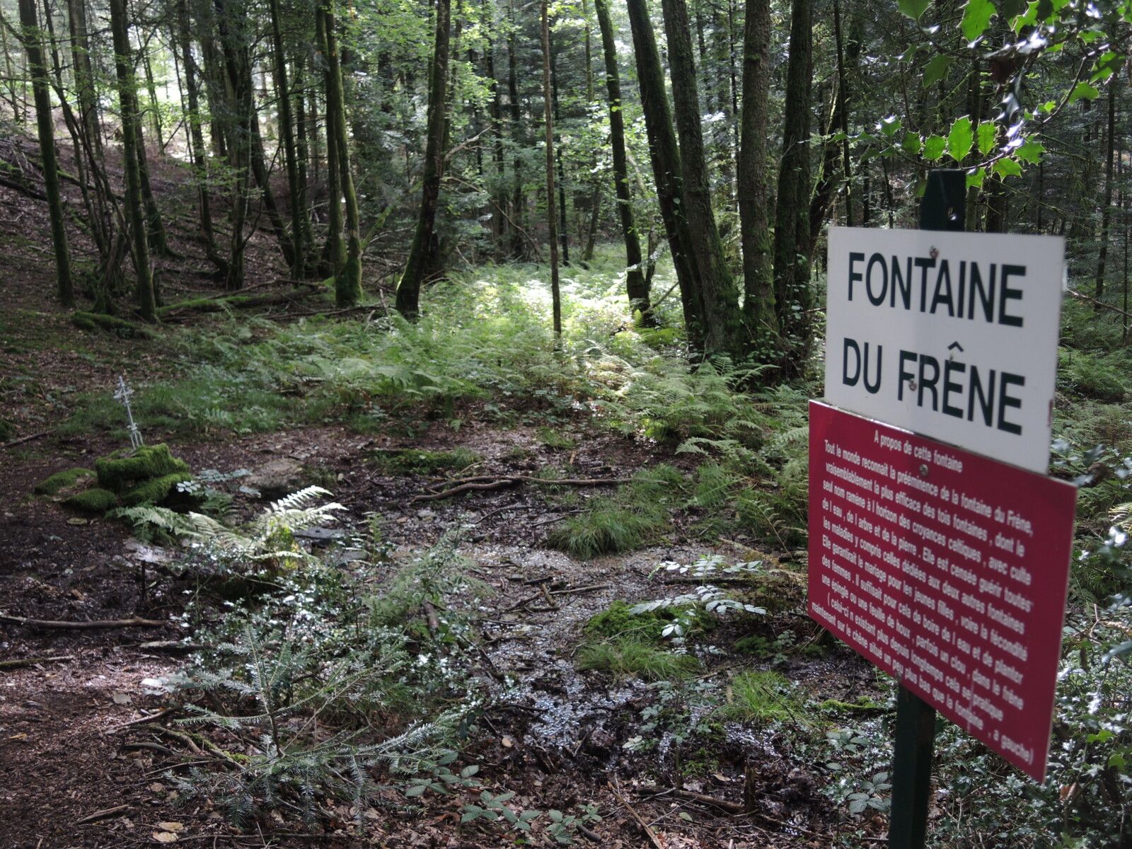 Corancy, fontaine du frêne, panneau (58)
