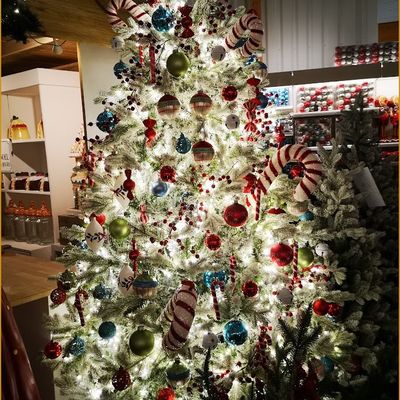 Sapins de Noël 2025