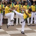 voila ce qu'ont appelle une roda de capoeira , ou
