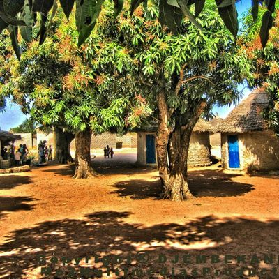 1 er post pour Djembekanfoly !