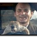 🎞️ Chandeleur, ou le jour de la marmotte