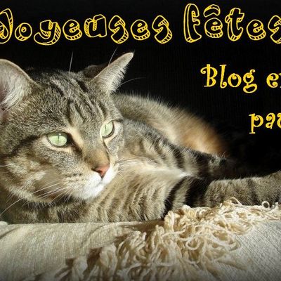 Blog en pause 