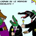 Les  iles  Caiman  ou le nouveau  paradis  socialiste  ?