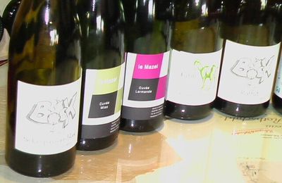 REVEVIN 2012 : Des vins de l'appellation Savennières " Roche aux Moines" (fin)