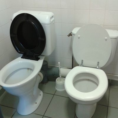 Ici papoter en faisant popo, c'est possible !