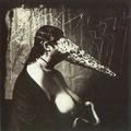 2011-S20 - Masque 4 - Joel-Peter WITKIN (photographe)