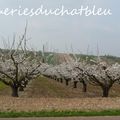 Balade en Bourgogne