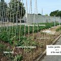 NOTRE JARDIN POTAGER 2011