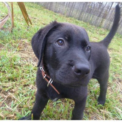 À Plum, il pleut beaucoup