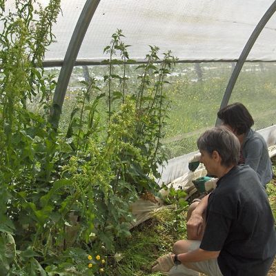 journée chez Ludovic