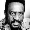 disparition de ike turner