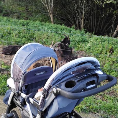 Plein air en automne