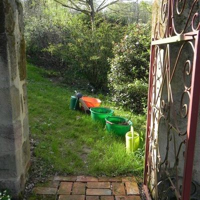 Mes derniers coups de speed