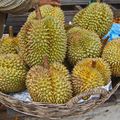 durians