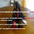 GRAND MARABOUT (RICHESSE, MAGIE NOIRE)