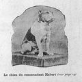 LE CHIEN DU COMMANDANT HABERT