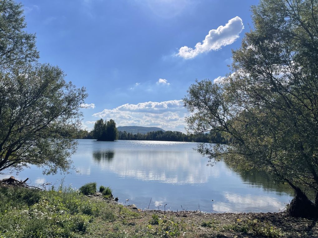 Lundi 06 octobre 2025 ma rando du mercredi 01 oct 2025  : L’“île de Mirefleurs” est une ancienne carrière réaménagée en plan d’eau, proche de la rivière Allier, à Mirefleurs dans le Puy‑de‑Dôme (63 ) Mon diapo au fil de mes pas 