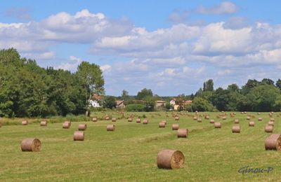 Balles de foin 