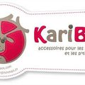 Petit jeu....Karine a besoin de notre avis.