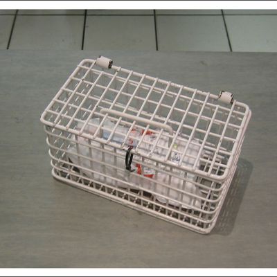 SOUTH AFRICA 2008 : UN COUP DE CHAUD