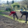 MÊME SUR LE CAILLOU, RADIS OU PARADIS, LES JARDINIERS CULTIVENT DU BONHEUR.