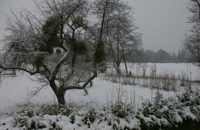 Que faire par ce temps là???