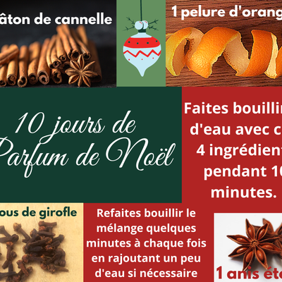 PARFUM DE NOEL NATUREL EN MOINS DE 2 MN