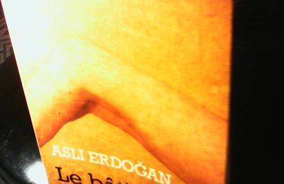 Les livres voyageurs de Asli Erdogan