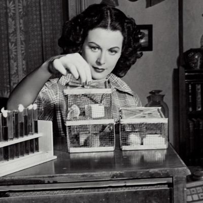 Rentrée littéraire 2025 : L'invention d Eva : une autofiction intime et poignante sur Hedy Lamarr,