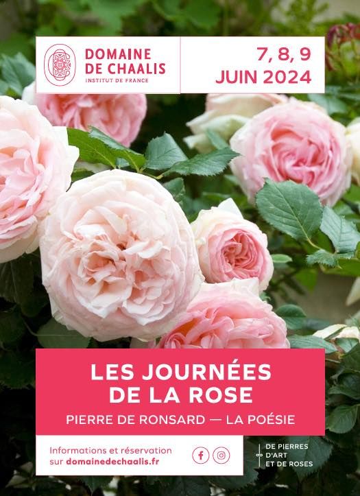 Les Journées de la Rose à Chaalis