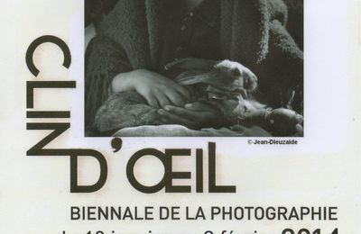 Bientôt CLIN D'OEIL Biennale de la photographie à Saint Brieuc du 18 janvier au 2 février 2014