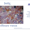 Voeux pour 2025