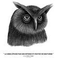 “ le hibou épuisé par son intense et festive vie nocturne ”