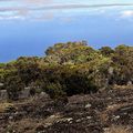 5/10/20 : Piton Maïdo et Hauts de St-Paul - Chanteuse Réunion