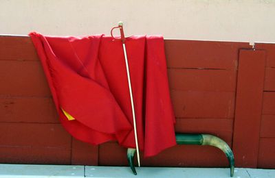 Le Conseil constitutionnel juge la corrida conforme à la Constitution (donc à la loi)