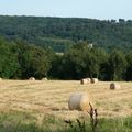 L'ETE... LA CAMPAGNE...