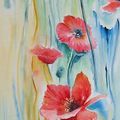 Aquarelles coquelicots 