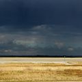 UN DIMANCHE EN BAIE DE SOMME 