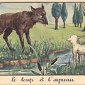 Une brève histoire du loup en France. 