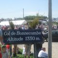 Transhumance en Aubrac