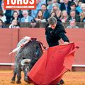 TOROS DU 5 MAI