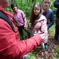 Desman Mycologie découverte