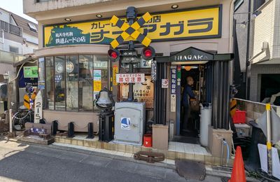 Erebos Golden Tour 2025 - 2 : Curry Station Niagara